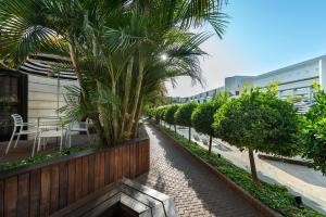 een loopbrug met palmbomen en een hek bij Riviera by Isrotel Collection in Eilat