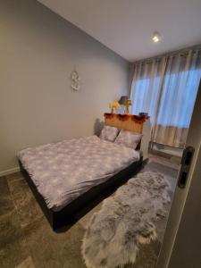 ein Schlafzimmer mit einem großen Bett und einem Teppich in der Unterkunft BB GUESTHOUSE in Wezembeek-Oppem