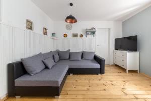 uma sala de estar com um sofá e uma televisão em Apartma Ivana & Ivanka em Bohinj