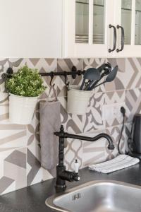 a kitchen sink with two potted plants on a wall at Apartma Ivana & Ivanka in Bohinj