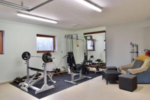 Posilňovňa alebo fitness centrum v ubytovaní Apartmán uprostřed trojúhelníku Praha - Karlovy Vary - Plzeň