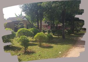 a garden with trees and a house in the background at โชคอมร รีสอร์ท in Ban Dung