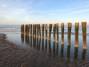 eine Reihe von Holzpfosten im Wasser am Strand in der Unterkunft Grande maison familiale 300 m de la plage et du centre in Sangatte
