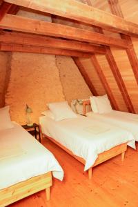 a room with two beds in a attic at La Maison de Jardin à La Peyrière in Le Bugue