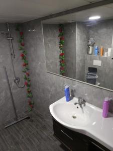 uma casa de banho com um lavatório, um chuveiro e um espelho. em WBS ON MARINA ASHKELON em Ashkelon