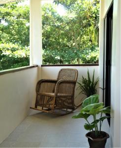 Um jardim no exterior de The Lazy Tiki
