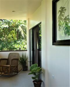 Um jardim no exterior de The Lazy Tiki
