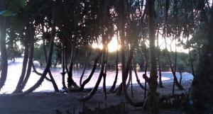 Paisagem natural perto do bed and breakfast
