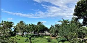 Paisagem natural perto do bed and breakfast