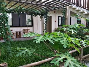 Um jardim no exterior de The Lazy Tiki