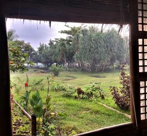 Um jardim no exterior de The Lazy Tiki