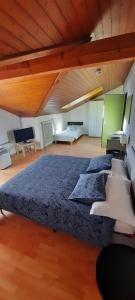 1 dormitorio grande con 1 cama grande en una habitación en Casa Zen, en Balerna