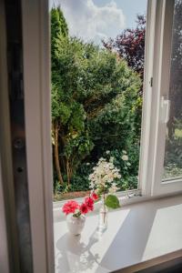 a window with flowers in vases on a window sill at Hof Osterholz in Loit