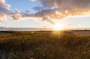 a field of tall grass with the sun in the sky at Himmelreich Amrum in Norddorf