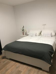 Postel nebo postele na pokoji v ubytování Frundsberg-Apartment