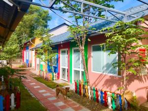 um cão parado em frente a uma casa colorida em Colorful Home Stay Phú Quốc em Duong Dong