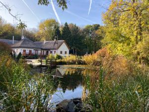 une maison au milieu d'un lac avec des arbres dans l'établissement Wildente Vadászház, à Tamási