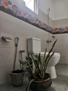 a bathroom with a toilet and two potted plants at Wake Up Weligama in Weligama
