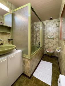 ein Bad mit einer Dusche, einem WC und einem Waschbecken in der Unterkunft Haus Schmitten - Davos in Schmitten