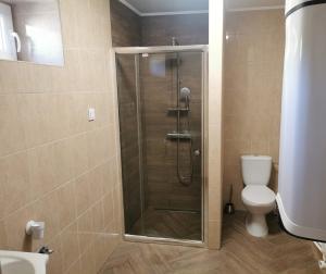 a bathroom with a shower and a toilet at Birs Vendégház Tiszafüred in Tiszafüred +23 photos