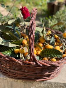 a basket full of oranges on a table at Villa Tranberg Suites in Ferreiras