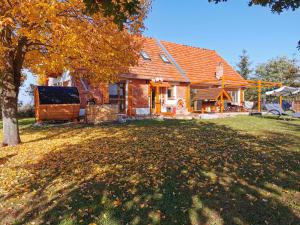 una casa con un patio con hojas en el césped en Agroturystyka Ginkgo, en Sulisław