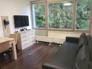 TV a/nebo společenská místnost v ubytování Apartment Harrachov Resident Vesna by Interhome