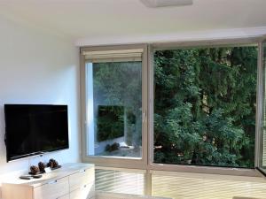 TV a/nebo společenská místnost v ubytování Apartment Harrachov Resident Vesna by Interhome