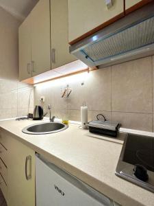 eine Küche mit einer Spüle und einer Arbeitsplatte in der Unterkunft Apartman Filip in Podgorica