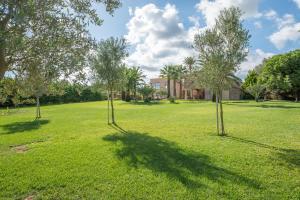 a park with trees in the middle of a field at Villa sa Palmera in Ses Salines