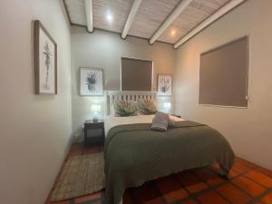 a bedroom with a bed in a room at C'est la Vie in Paternoster
