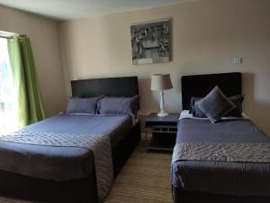 a hotel room with two beds and a window at Double bedroom studios in Dublin