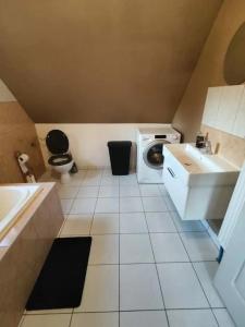 uma casa de banho com um lavatório e uma máquina de lavar roupa em Très Bel appart charmant 85m2 parking gratuit em Molsheim