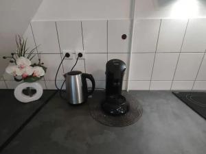 a kitchen counter with a coffee maker and a pot of flowers at Très Bel appart charmant 85m2 parking gratuit in Molsheim