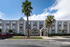 a large building with palm trees in front of it at Sleep Inn Jacksonville Airport in Jacksonville