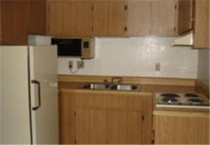 Kuchyň nebo kuchyňský kout v ubytování Colonade Motel Suites
