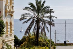 un palmier en face d'un bâtiment avec un voilier dans l'océan dans l'établissement Palazzo De Donno, à Santa Cesarea Terme