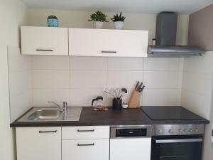 Kuchyň nebo kuchyňský kout v ubytování CHILL&SLEEP Bad Ischl