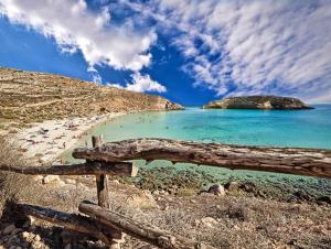 a view of a beach with a log and the ocean at Dammusi Ziunì in Lampedusa