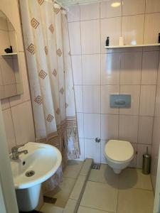 La petite salle de bains est pourvue d'un lavabo et de toilettes. dans l'établissement CAMELLİA SUİT HOTEL, à Istanbul