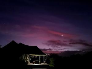 Fotografie z fotogalerie ubytování ParkView Safari Lodge v destinaci Colchester