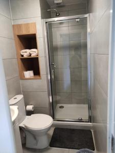 a small bathroom with a shower and a toilet at Double bedroom studios in Dublin