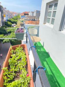 Balkon lub taras w obiekcie Best Rooms - Quarto 1 Plateau