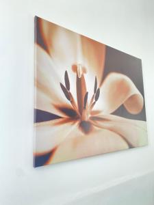 Zdjęcie z galerii obiektu Best Rooms - Quarto 1 Plateau w mieście Praia