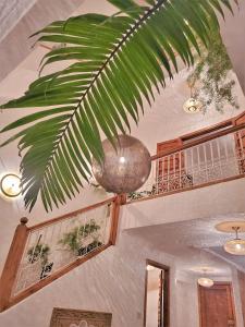 a large green plant hanging from a ceiling at Riad with 3 Swimming Pools in Marrakech
