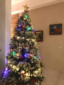吉安郷にあるGancheng Homestayの色彩豊かな灯りをつけたクリスマスツリー