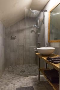 W łazience znajduje się umywalka i prysznic. w obiekcie Gîte à la campagne w mieście Coësmes
