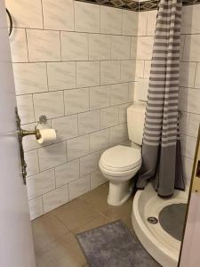 a small bathroom with a toilet and a shower at Beautiful apartment Athens Keramikos in Athens