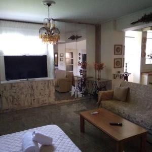 uma sala de estar com um sofá e uma televisão em Ευρύχωρο διαμέρισμα σε ήσυχη γειτονιά em Kalamata