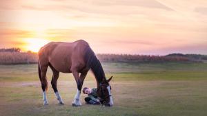 uma criança está sentada debaixo de um cavalo num campo em Léleksimogató Vendégház em Kiskunhalas